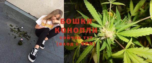 тгк Майский