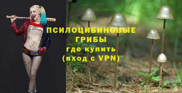 СК Магас