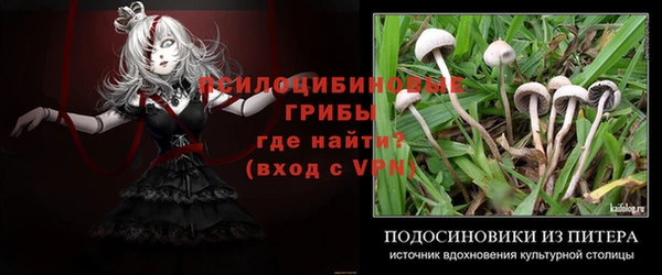 a pvp Магадан